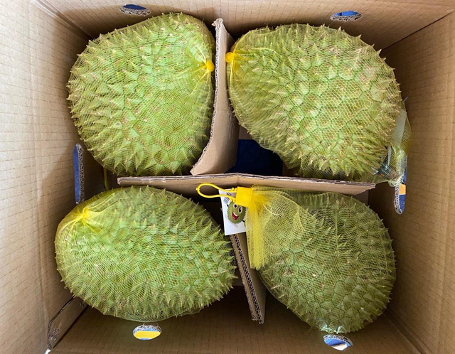 Sầu riêng Việt Nam xuất khẩu sang Nhật Bản giá bán tới hơn 400.000 đồng/kg