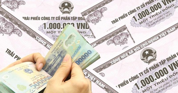 Chứng khoán Tân Việt tổ chức họp với các nhà đầu tư trái phiếu